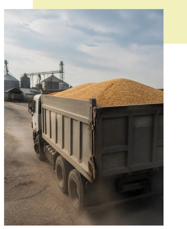Перевозка сельхозпродукции навалом в Асбест по цене от 3032 р. | Агросервис-Сбс